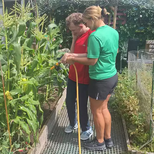 Horticulture Activities